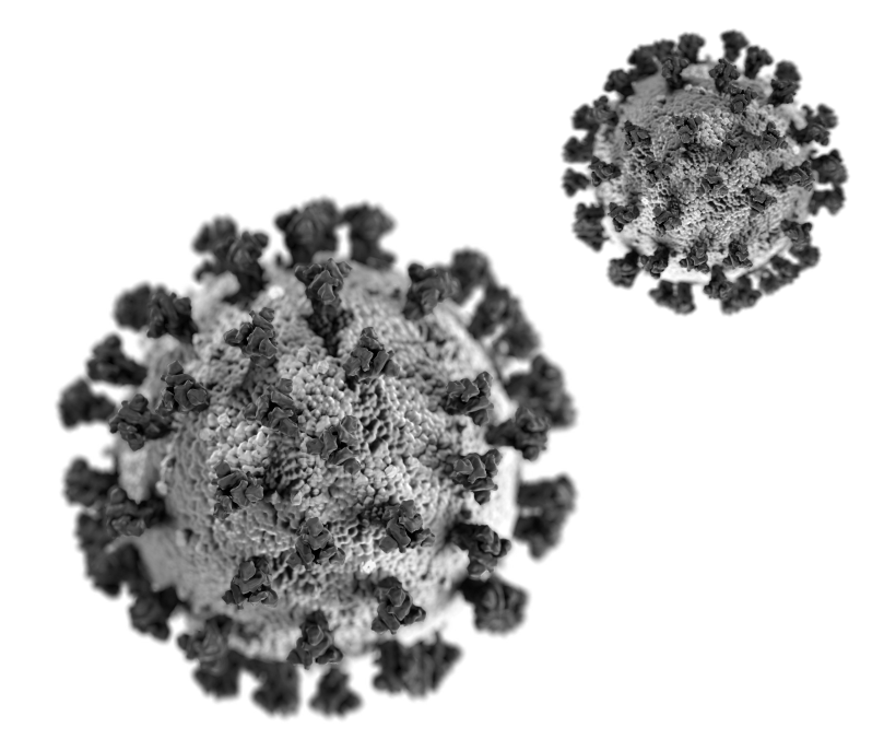 Covid-19 virus